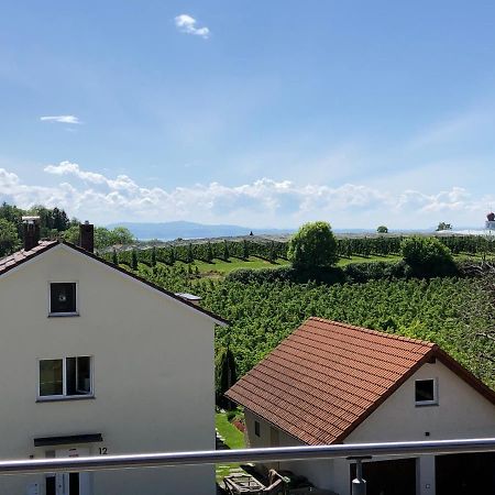 Haus Lauria Daire Kressbronn am Bodensee Dış mekan fotoğraf